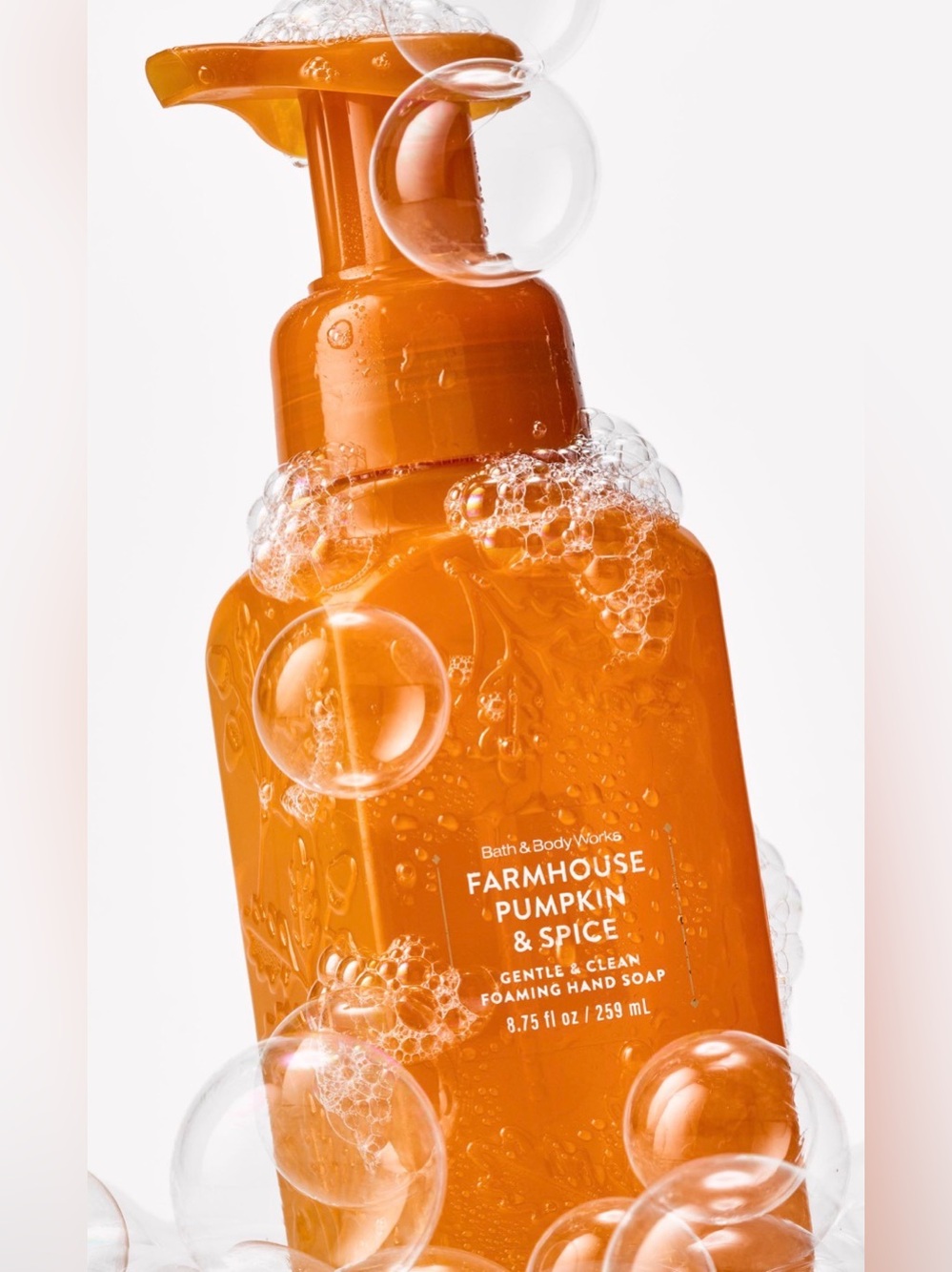 Bath & Body Works Farmhouse Pumpkin & Spice Foaming Hand Soap